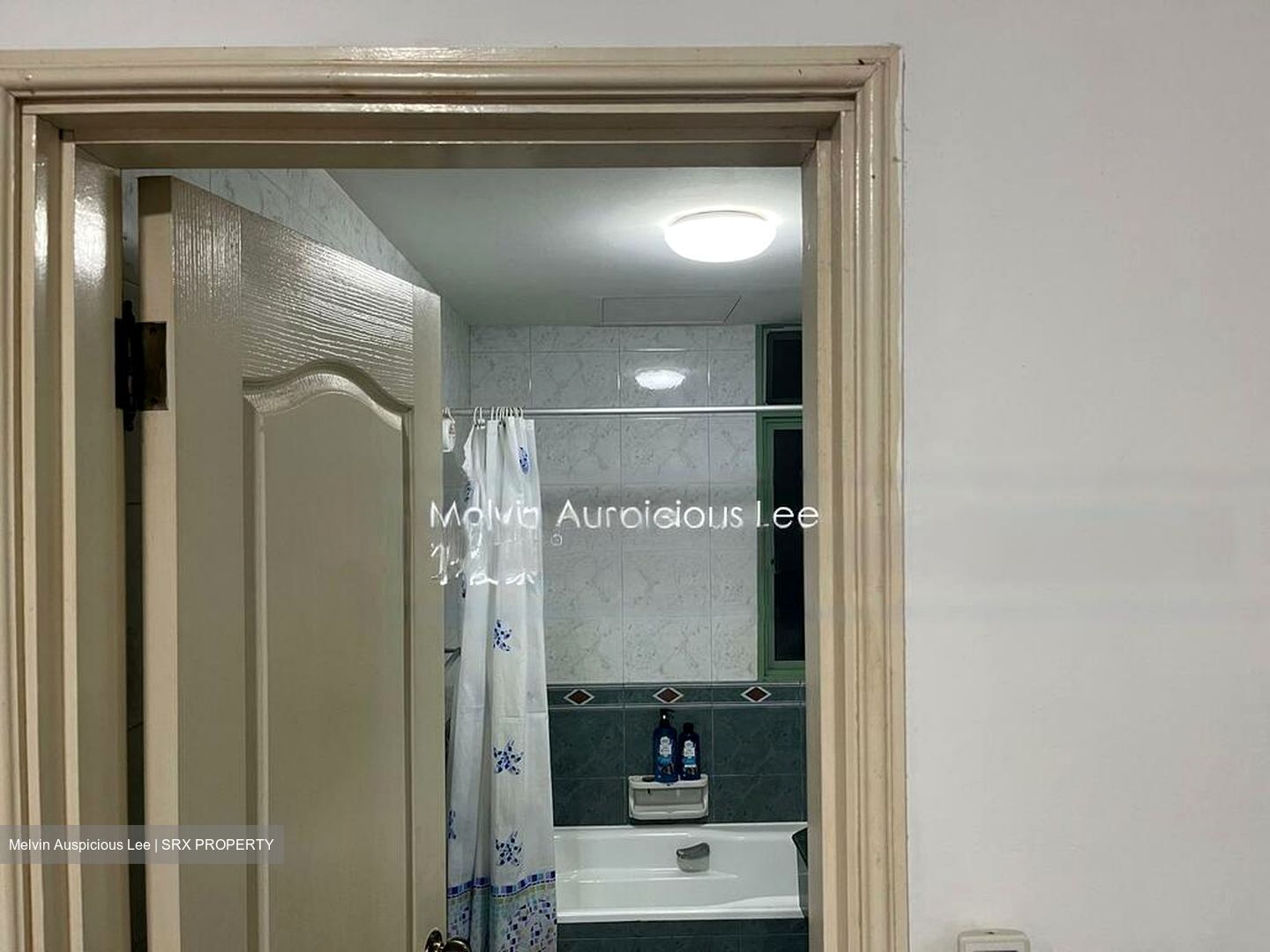 Tiara (D9), Condominium #540804031